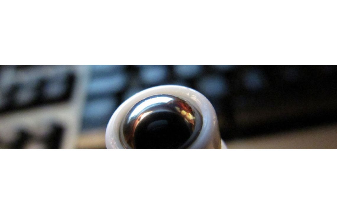 Les huiles essentielles