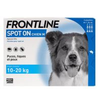 Spot On chien 10-20kg 6 pipettes