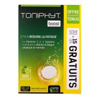 Toniphyt boost 45 comprimés effervescents