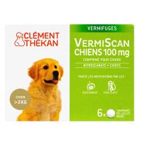 Vermiscan chiots & petits chiens 100mg 6 comprimés