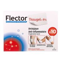 Flector Tissugel emplâtres 10 patchs