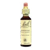 Bach honeysuckle n°16 20ml