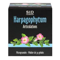 Harpagophytum articulations