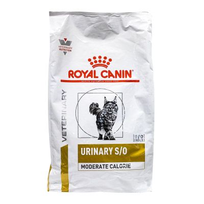 Les Croquettes Pour Chat Gastro Intestinal Royal Canin Sont Des Aliments Dietetiques Complets Les Croquettes Pour Chat Gastro Intestinal Royal Canin Sont Des Aliments Dietetiques Complets