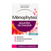 Bouffées de chaleur 120 gélules jour & nuit