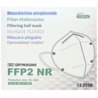 10 masques  FFP2 NR