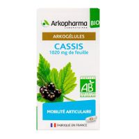 Arkogélules cassis bio 45 gélules