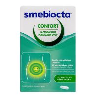 Smebiocta confort 30 gélules