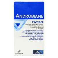 Androbiane Protect fonctionnement de la prostate 60 comprimés