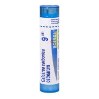 Calcarea carbonica ostrearum tube granule