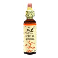 Bach mimulus n°20 20ml