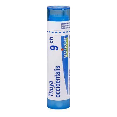 Thuya occidentalis tube granule