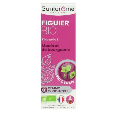 Figuier bio macérat de bourgeons bio et frais 30ml