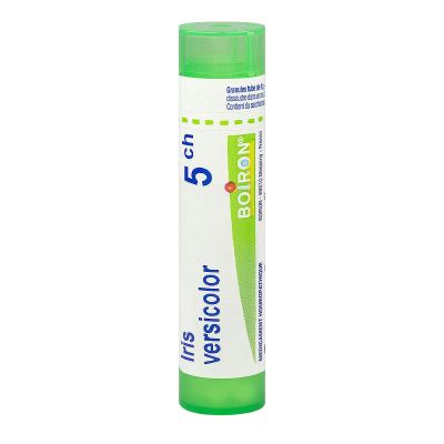 Iris versicolor tube granule