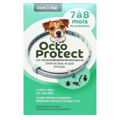 Octo Protect 7-8 mois 1 collier 38cm pour petits chiens -8kg