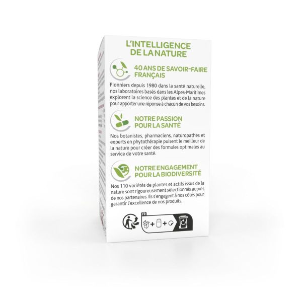Arkogélules ginkgo mémoire 45 gélules
