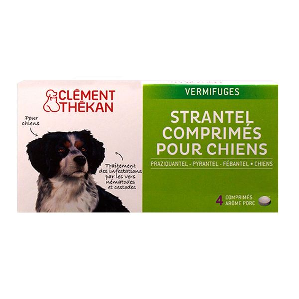 Strantel chiens 4 comprimés