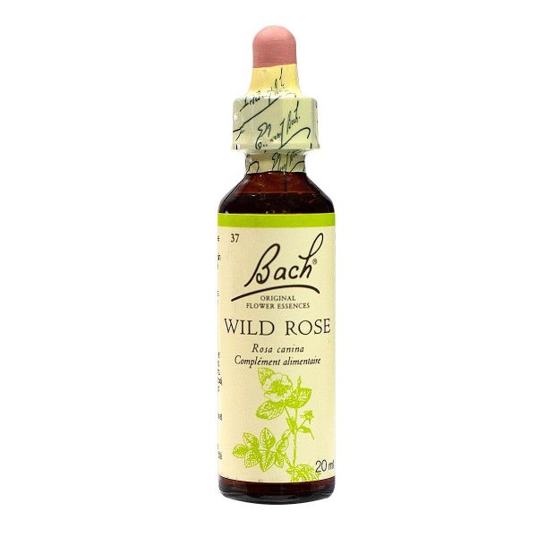 Bach wild rose n°37 20ml