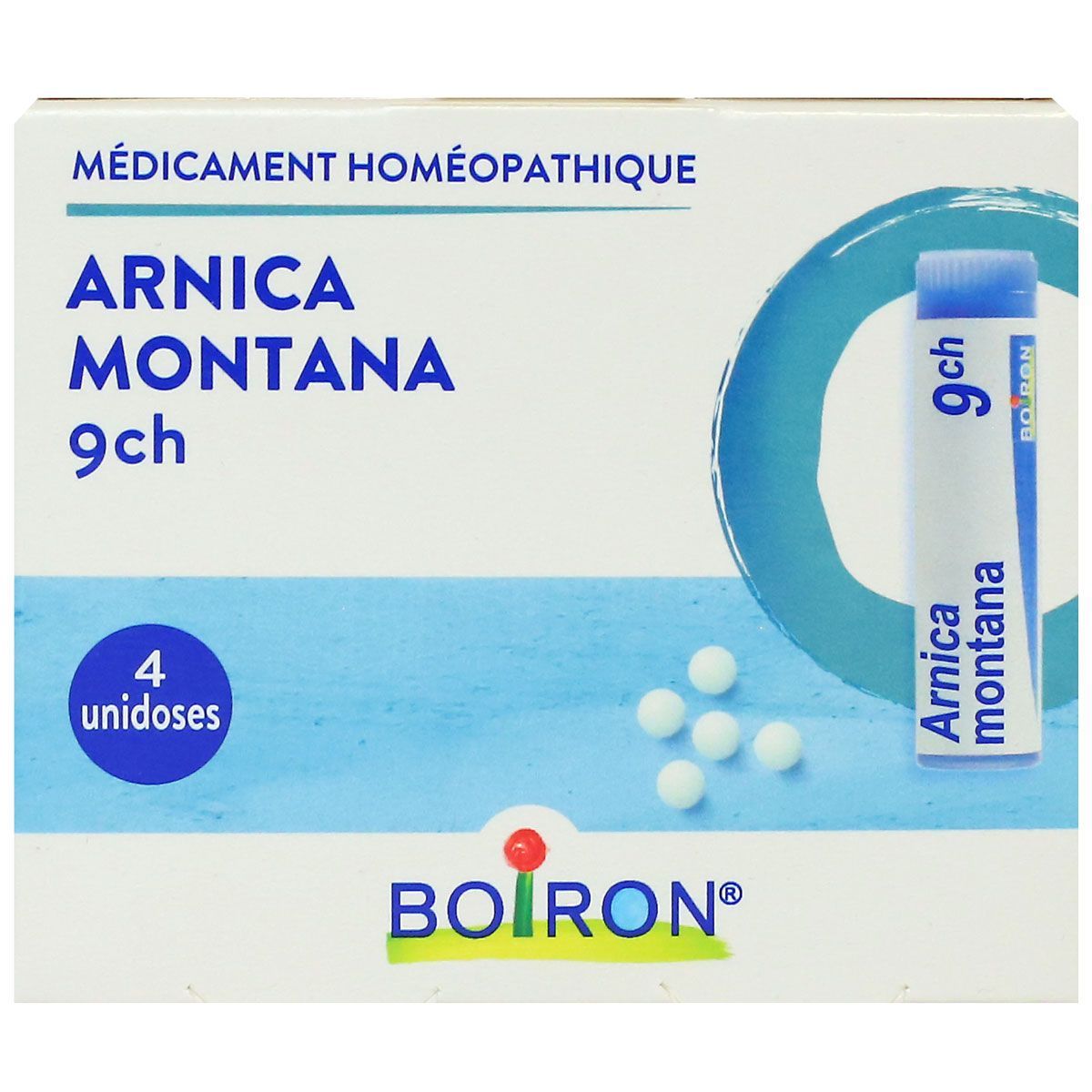 ARNICA MONTANA - Arnica Montana - Astéracées - Semences 100% Bio Pour Maraichers Professionnels