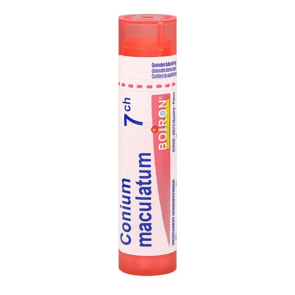 Conium maculatum tube granule