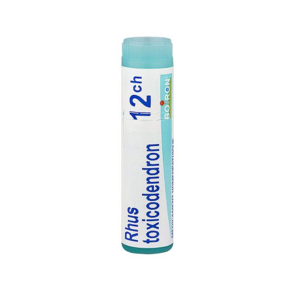 Rhus toxicodendron dose