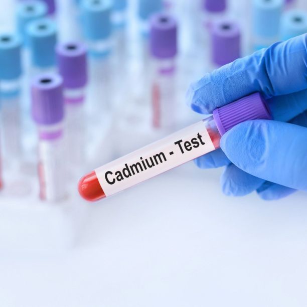 Cadmium : le dernier scandale de santé publique ? Que faut-il savoir ?